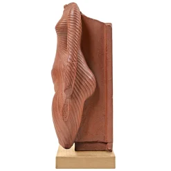 Online Boutiques de musées Moulage Torse de femme identifié à Néfertiti