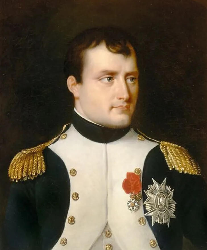 Sale Boutiques de musées Napoléon Ier en uniforme de colonel des grenadiers de la garde à pieds (panneaux aluminium)