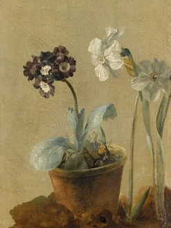 Boutiques de musées Panneaux Aluminium|Affiches D'Art Encadrées-Nature morte de narcisses et d'oreilles-d'ours (panneaux aluminium)