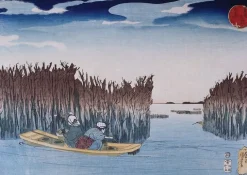 Clearance Boutiques de musées Parc aux algues (panneaux acryliques)