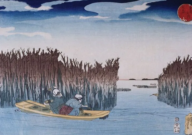 Boutiques de musées Panneaux Aluminium|Affiches D'Art Encadrées-Parc aux algues (panneaux aluminium)