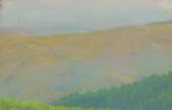 Boutiques de musées Panneaux Acryliques|Toiles Encadrées-Paysage de montagne avec forêt de sapins au premier plan (panneaux acryliques)