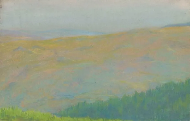 New Boutiques de musées Paysage de montagne avec forêt de sapins au premier plan (panneaux aluminium)