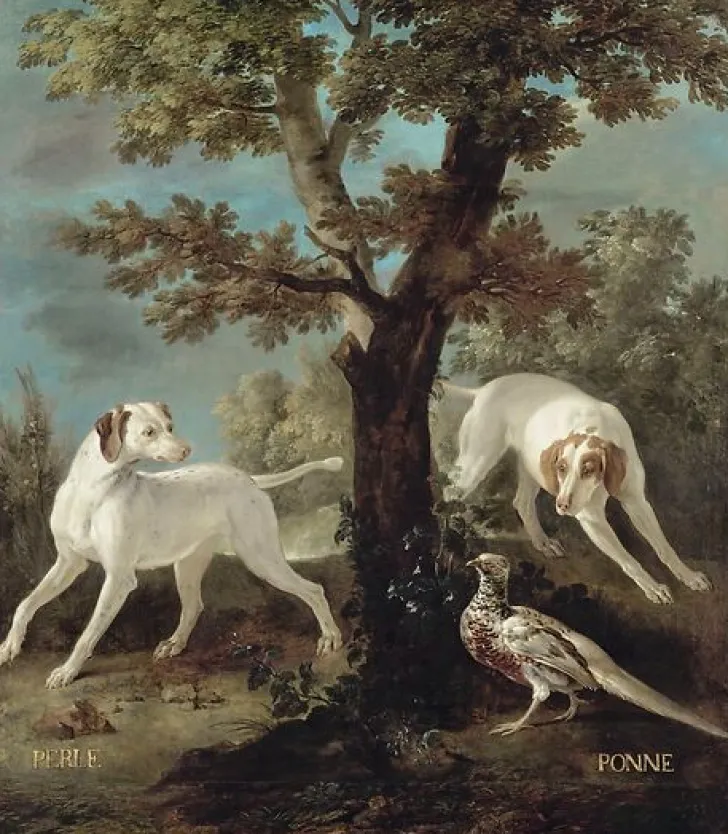 Outlet Boutiques de musées Perle et Ponne, chiennes de la meute de Louis XV (panneaux acryliques)