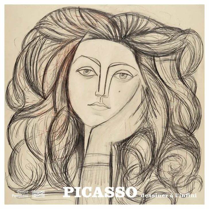 Online Boutiques de musées Picasso - Dessiner à l'infini - Album de l'exposition