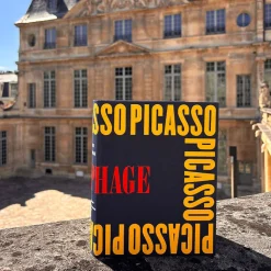 Online Boutiques de musées Picasso iconophage - Catalogue d'exposition