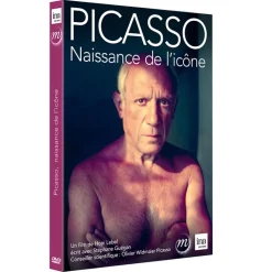 Hot Boutiques de musées Picasso. Naissance de l'icône