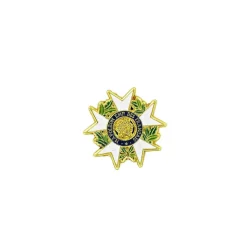 New Boutiques de musées Pin's Étoile de chevalier de la Légion d'honneur