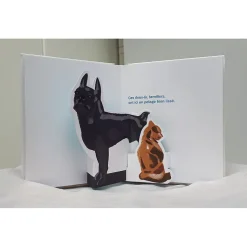 Boutiques de musées Livres Jeunesse-Pop-up Animaux Pompon