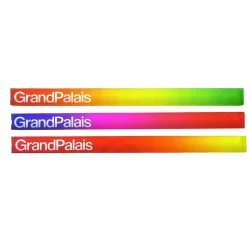 Boutiques de musées Accessoires De Bureau-Règle cubique 20CM Bleu/rose Logo Grand Palais