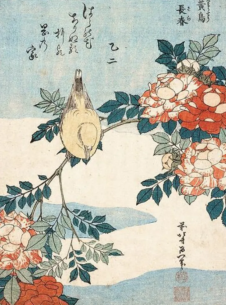 New Boutiques de musées Rossignol et rosier (affiches d'art)