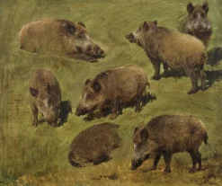 Outlet Boutiques de musées Sangliers couchés et debout, 7 esquisses (panneaux aluminium)