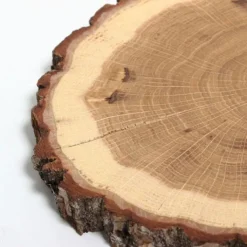 Boutiques de musées Art De La Table-Set 2 Dessous de plat en chêne