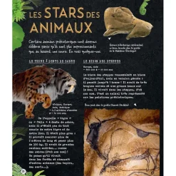 Boutiques de musées Livres Jeunesse-Si la Préhistoire m'était contée - Secrets d'Histoire junior