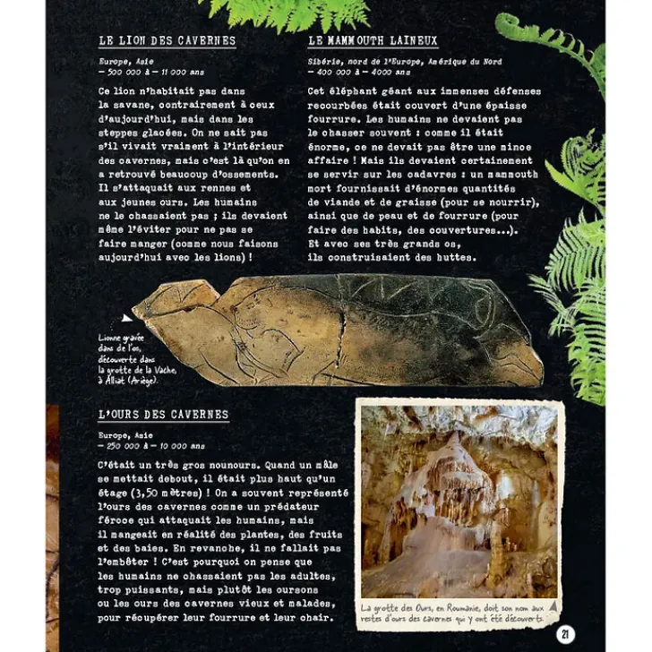 Boutiques de musées Livres Jeunesse-Si la Préhistoire m'était contée - Secrets d'Histoire junior