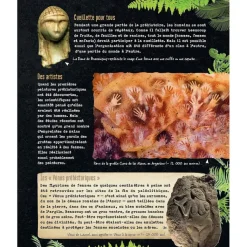 Boutiques de musées Livres Jeunesse-Si la Préhistoire m'était contée - Secrets d'Histoire junior