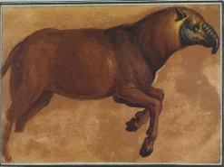 Boutiques de musées Panneaux Acryliques|Toiles Sans Cadre-Tapir (panneaux acryliques)