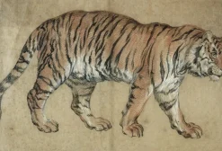 Boutiques de musées Tigre marchant vers la droite (panneaux aluminium)