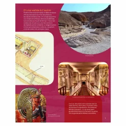 Online Boutiques de musées Toutânkhamon - La grande imagerie