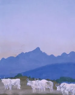 Outlet Boutiques de musées Trois couples de boeufs blancs sur fond de montagnes (les Apennins), le matin (affiches d'art)