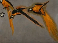 Boutiques de musées Toiles Sur Châssis|Affiches D'Art-Trois perroquets aras et une tête (toiles sur châssis)