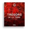 New Boutiques de musées Trésors de la Terre
