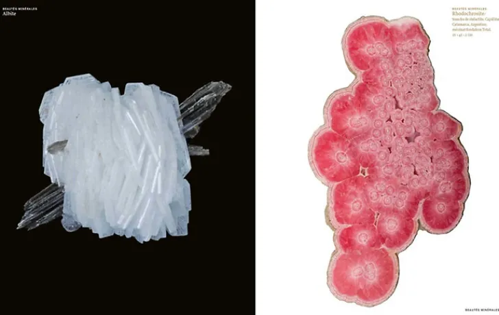 Boutiques de musées Histoire, Géographie Et Sciences-Trésors de la terre. Collections de la galerie de Minéralogie