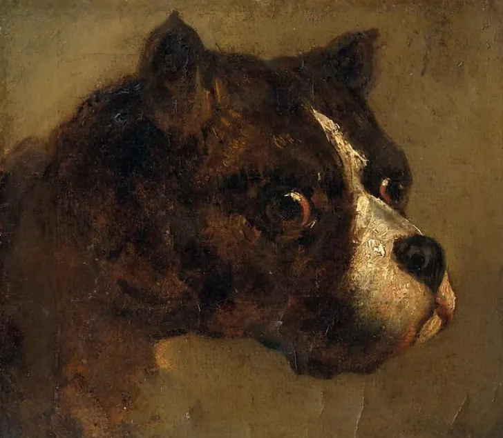 Boutiques de musées Toiles Sans Cadre|Affiches D'Art Encadrées-Tête de Bouledogue (toiles sans cadre)