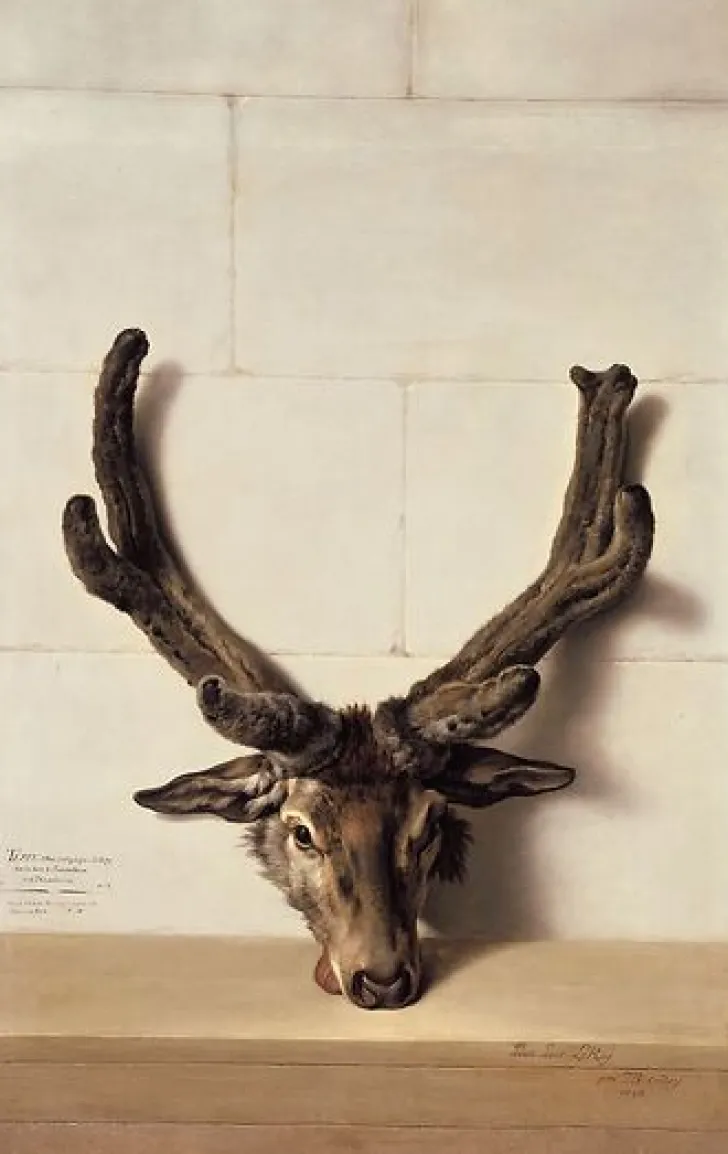 Best Boutiques de musées Tête de cerf bizarre sur un mur de pierre, signé et daté en bas à droite (toiles encadrées)