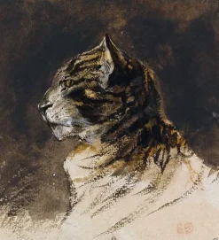 Boutiques de musées Panneaux Aluminium|Panneaux Acryliques-Tête de chat (panneaux aluminium)