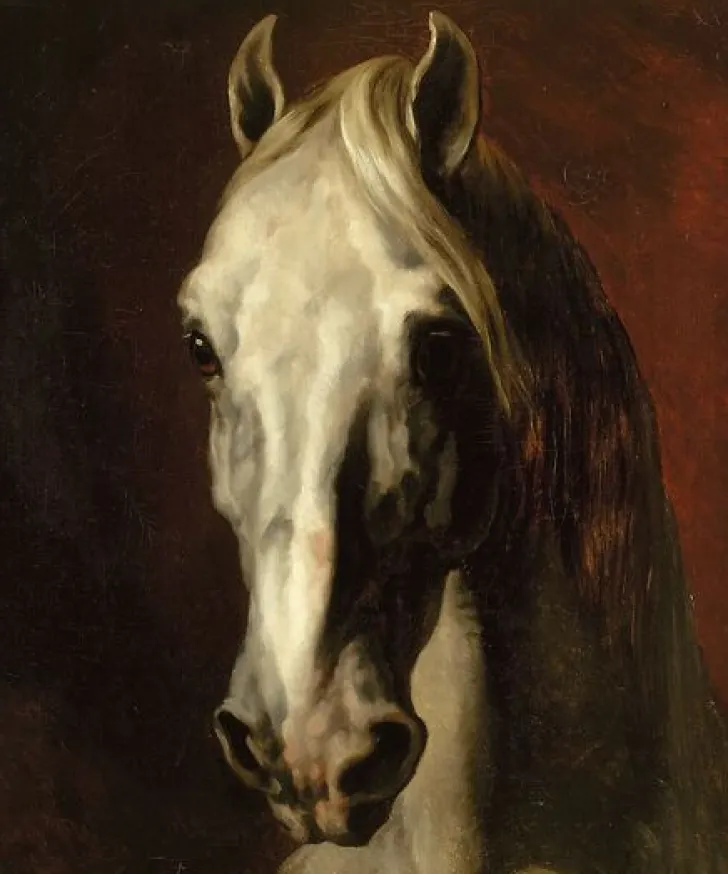 Hot Boutiques de musées Tête de cheval blanc (toiles sans cadre)