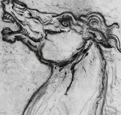 Sale Boutiques de musées Tête de cheval pour Diomède (toiles sur châssis)