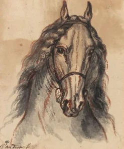 Online Boutiques de musées Tête de cheval, vue de face (panneaux aluminium)