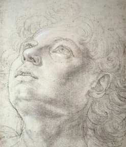 Boutiques de musées Toiles Sans Cadre|Panneaux Aluminium-Étude de tête (toiles sans cadre)