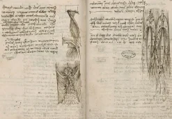 Clearance Boutiques de musées Turbulences provoquées par différents obstacles sur un fluide en mouvement (panneaux aluminium)