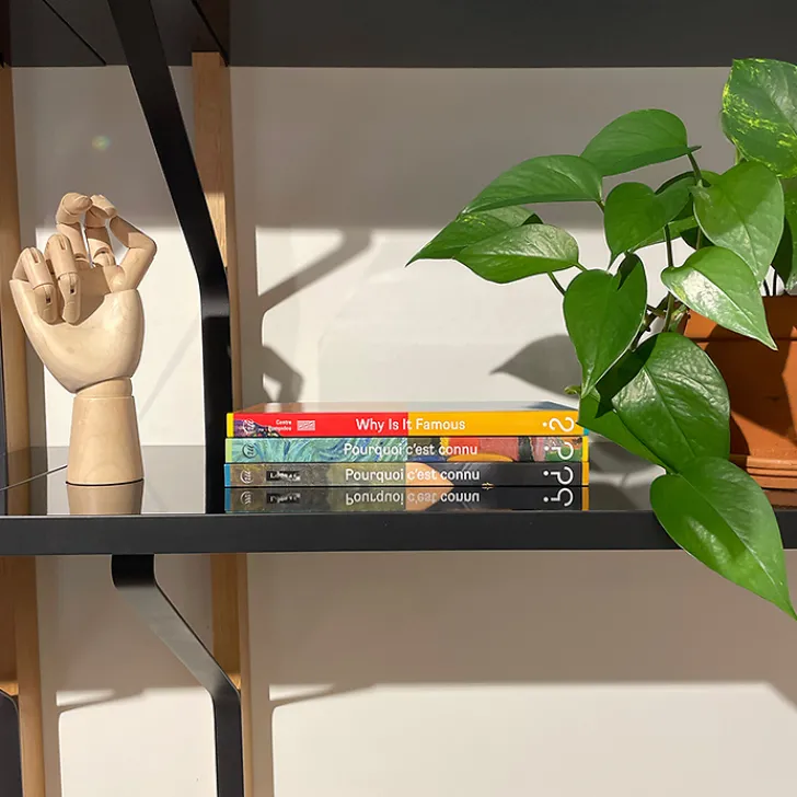 Boutiques de musées Livres Anglais Et Étranger|Littérature & Essais-Why is it Famous? The Incredible Journey of Nineteenth-Century Icons